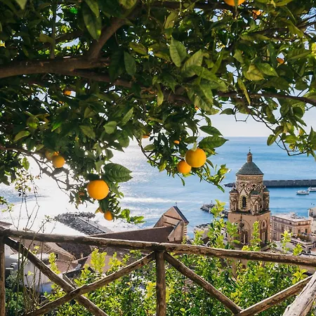 Rosario * Amalfi